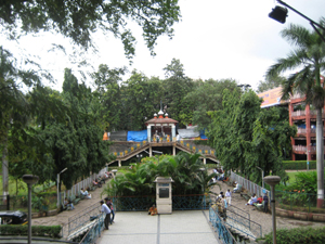 Saras Baug