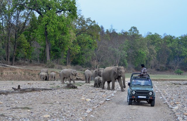 Chila Wildlife Sanctuary 