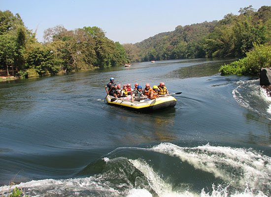 Dandeli 