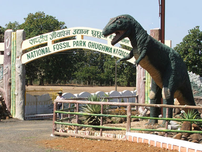 National Park of Fossils