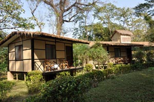 Chitwan Hotels
