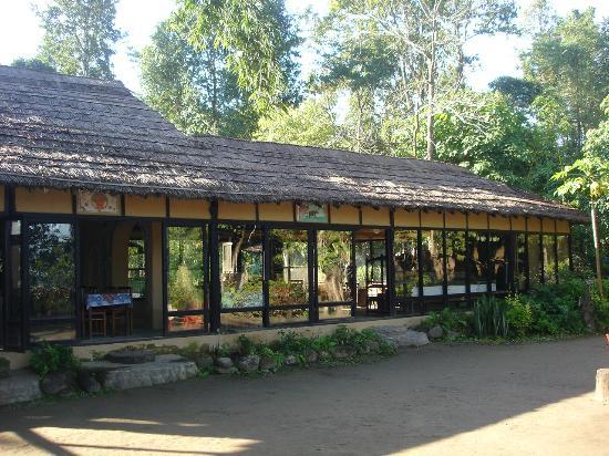 Chitwan Hotels