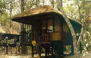 Chitwan Hotels