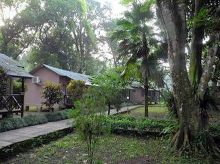 Chitwan Hotels