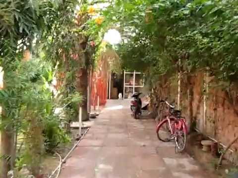 Jungle Walk