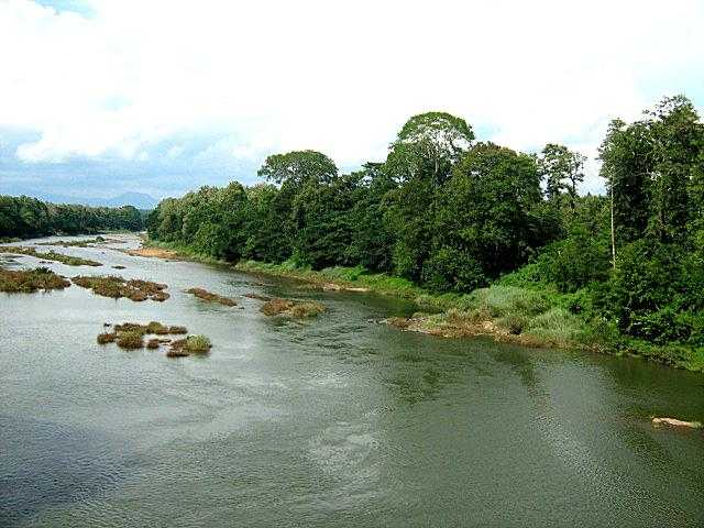 Kallai