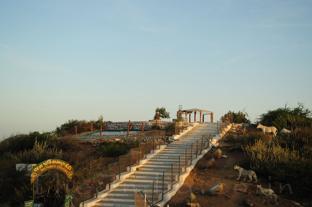 Kalo Dungar (Dhinodhar) 