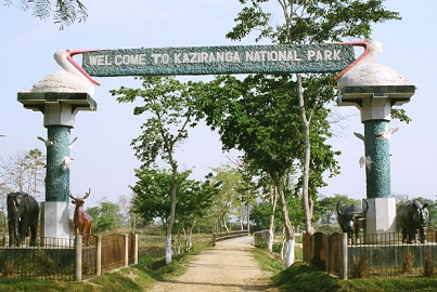 Kaziranga National Park