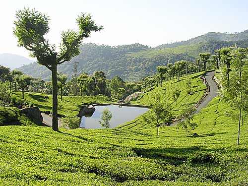 Kotagiri