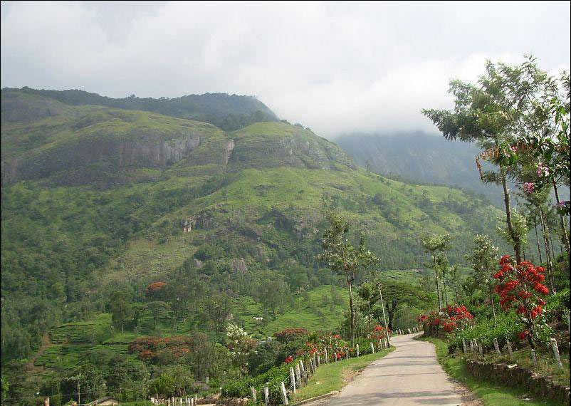 Meenuli