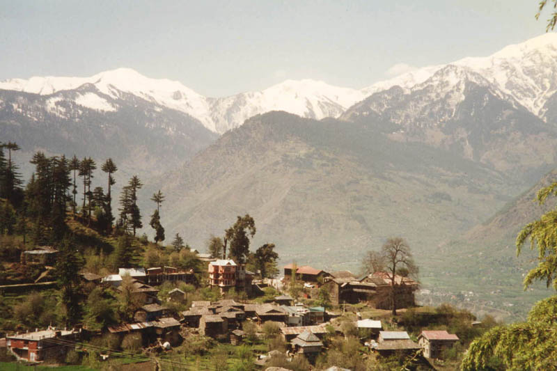 Naggar