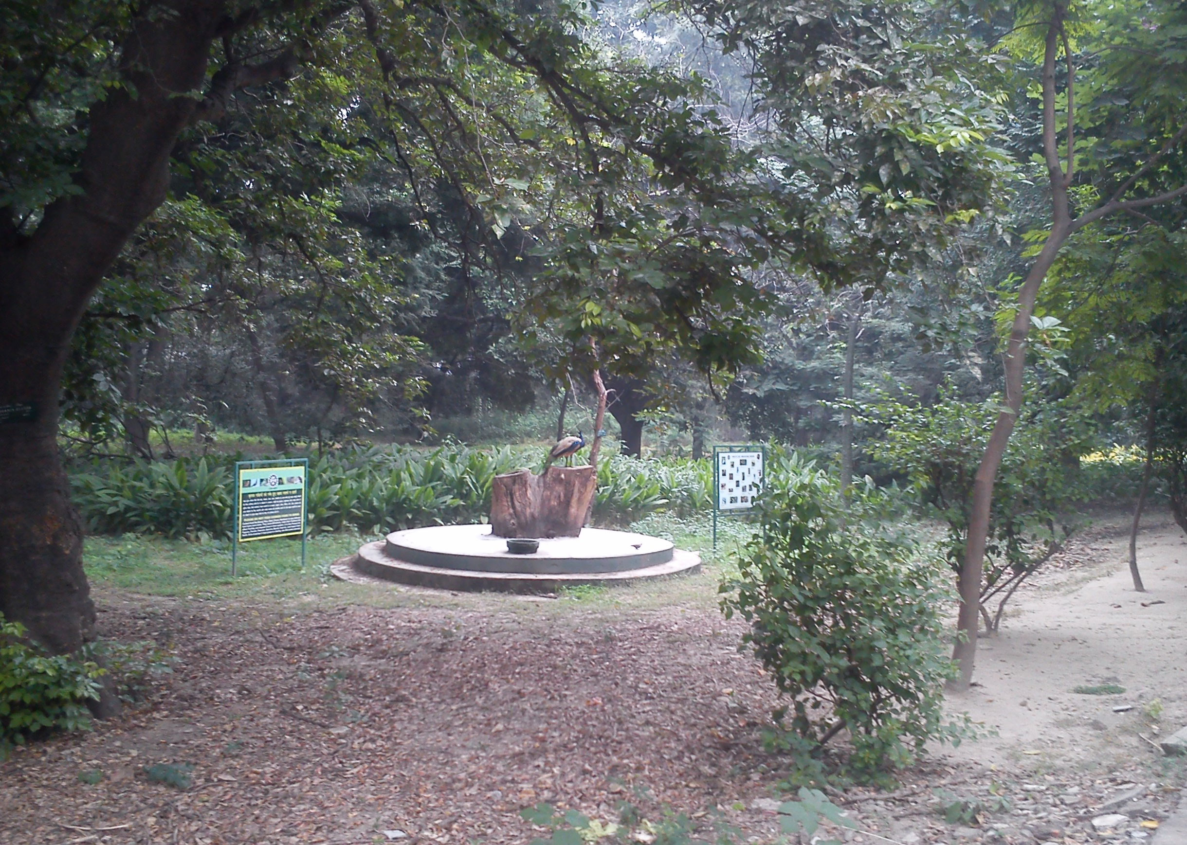 National Botanical Research Institute