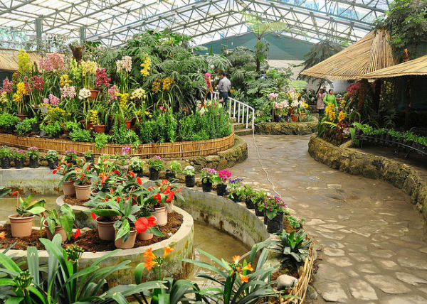 Orchid Sanctuary
