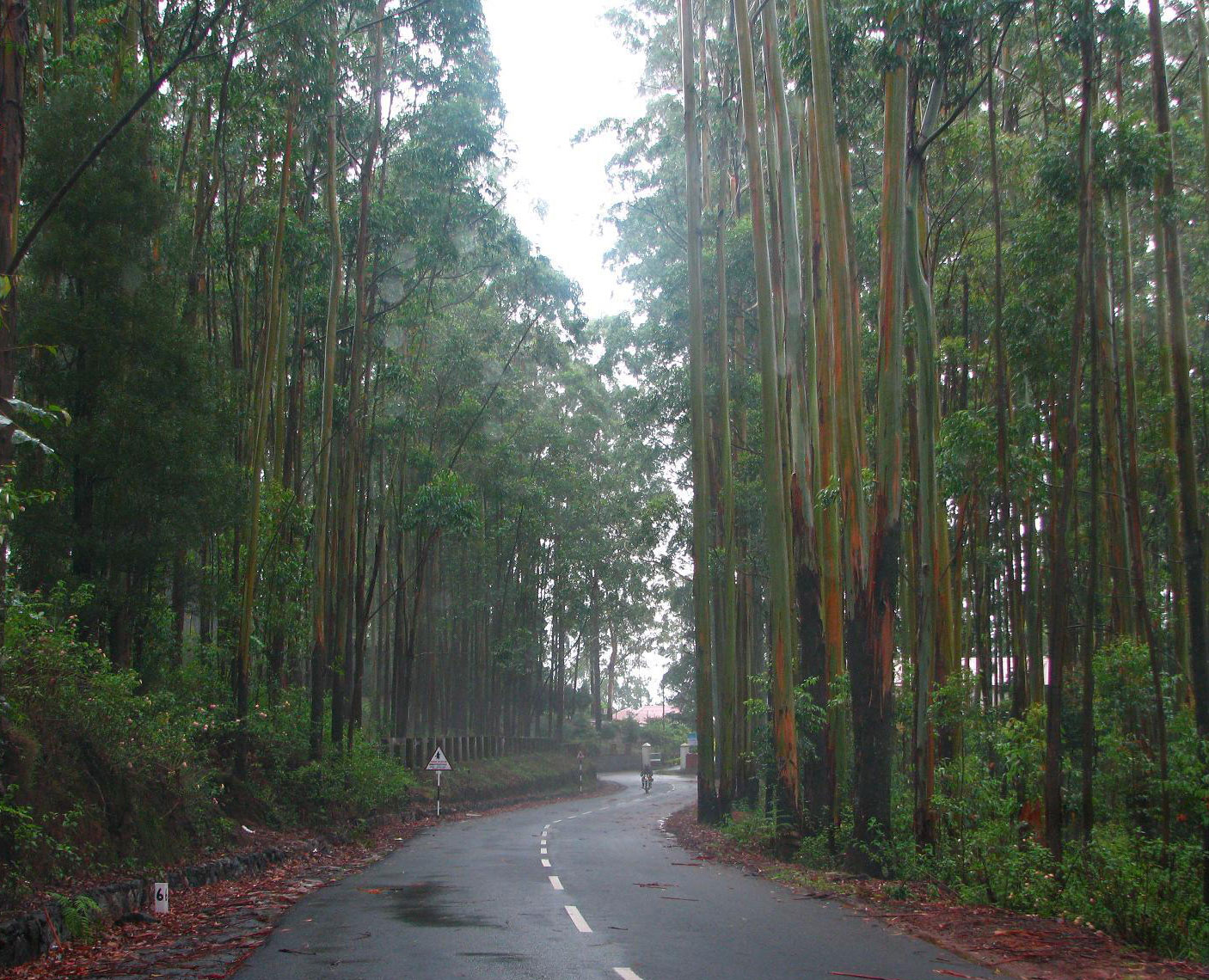 Palani