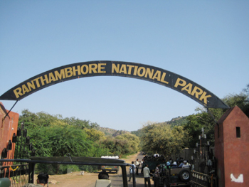 Park 