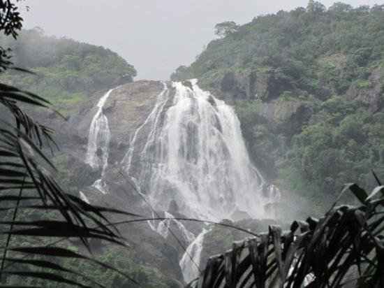 Ponda