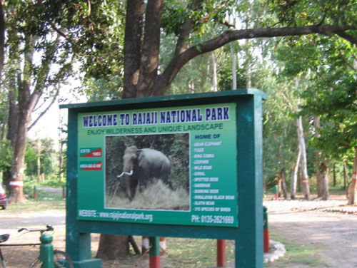 Rajaji National Park