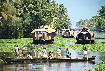 The Backwaters Of Kozhikode