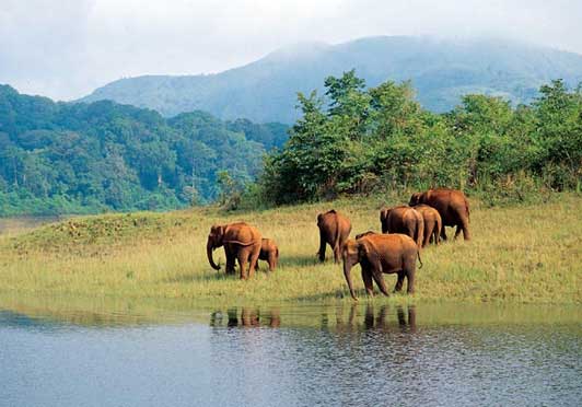 Thekkady