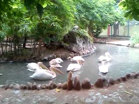 Voc Park & Zoo (Amusement Park)