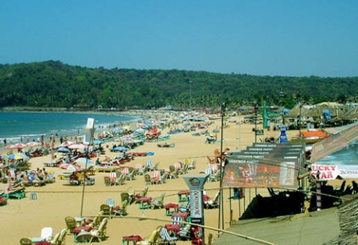 Calangute