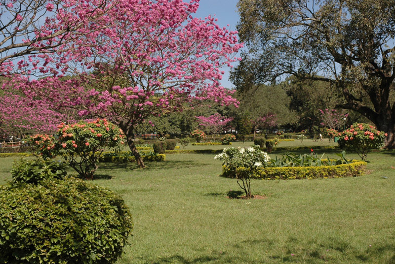 Cubbon Park
