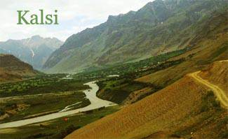 Kalsi