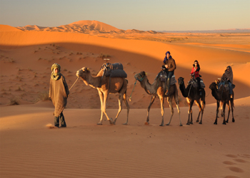 Rajasthan Tours