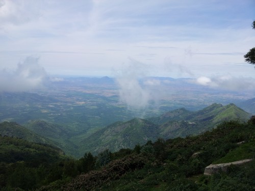 View Point